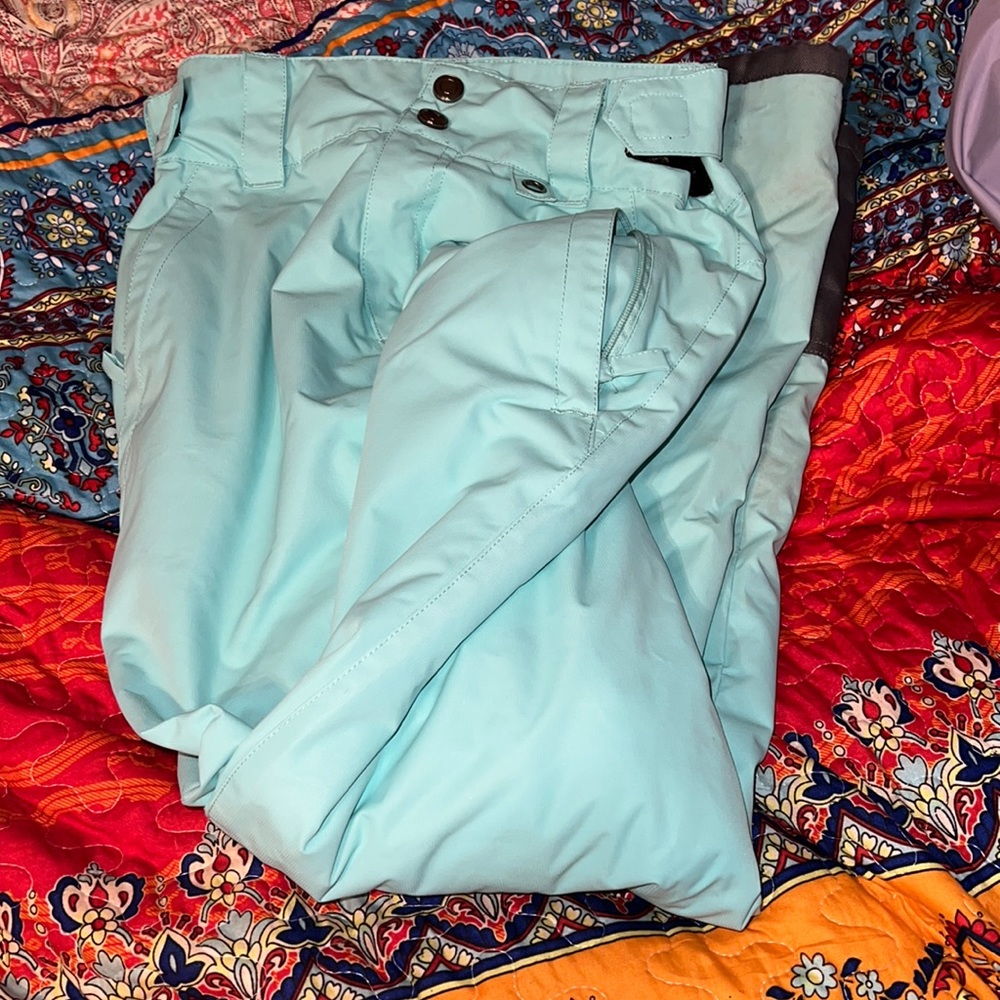 Ski Pants - image 1